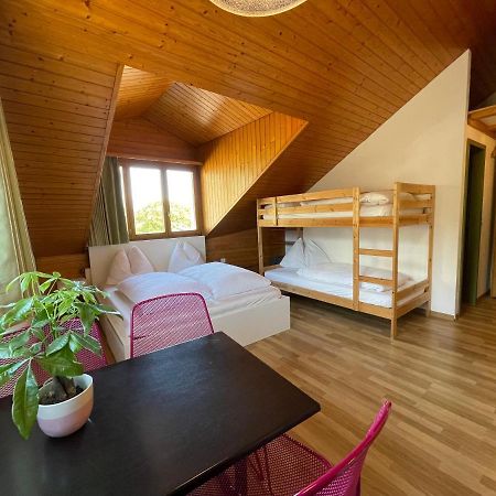 Central Beauty Scenery Apartment Інтерлакен Екстер'єр фото