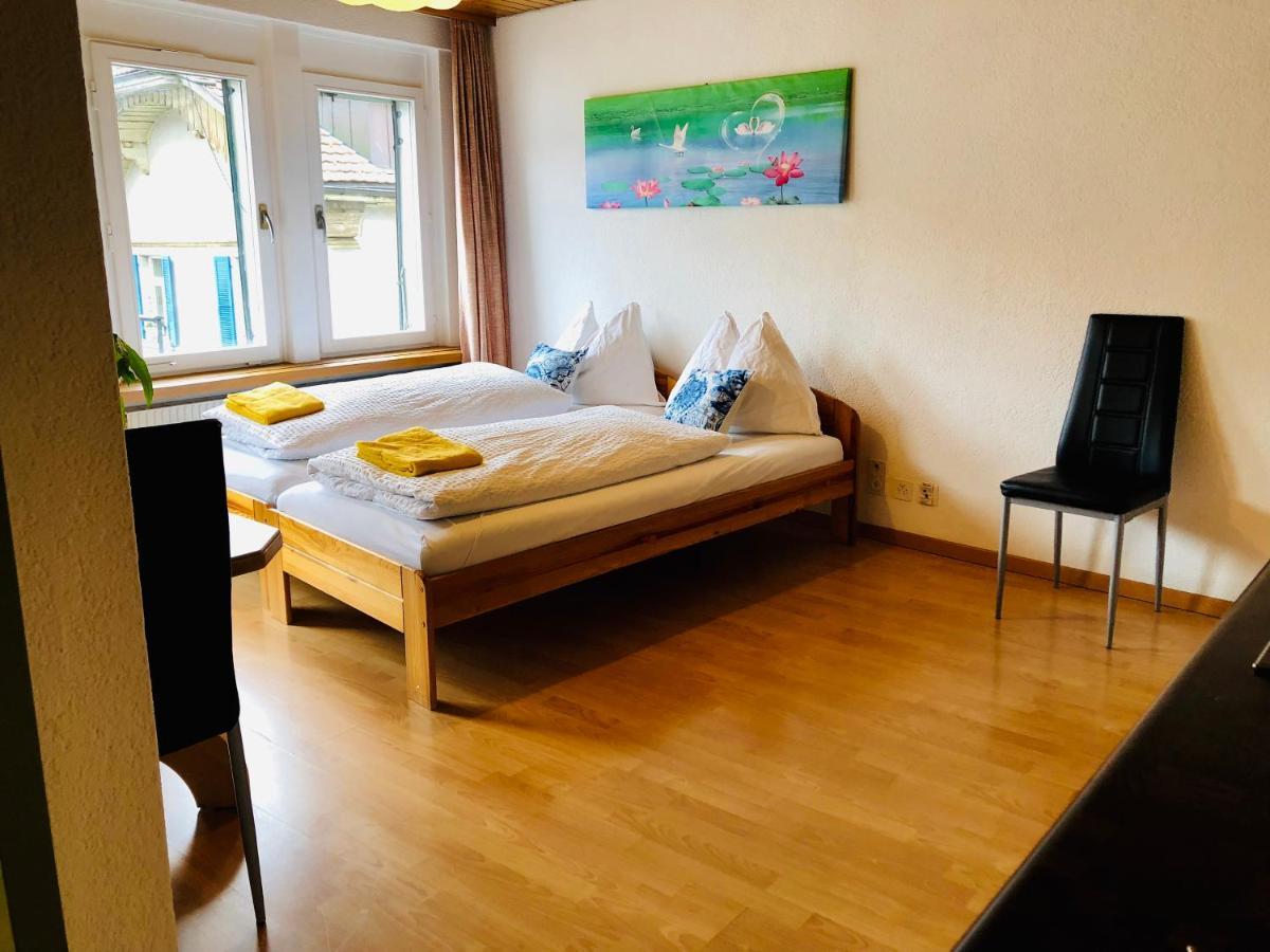 Central Beauty Scenery Apartment Інтерлакен Екстер'єр фото