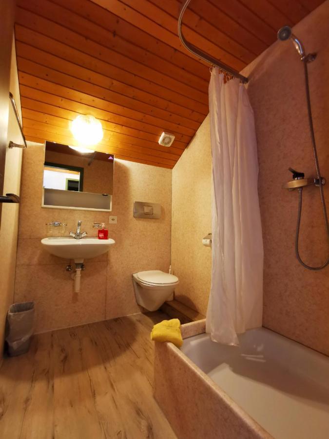 Central Beauty Scenery Apartment Інтерлакен Екстер'єр фото