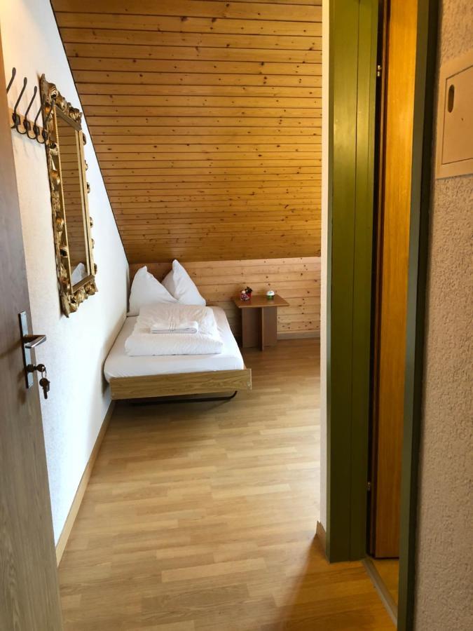 Central Beauty Scenery Apartment Інтерлакен Екстер'єр фото